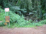 d3misc_0001.jpg