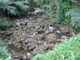 d3misc_0002.jpg