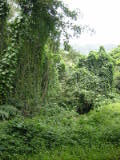 d3misc_0003.jpg