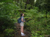d3misc_0004.jpg