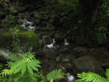 d3misc_0005.jpg