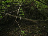 d3misc_0006.jpg