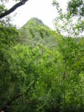 d3misc_0009.jpg