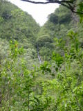 d3misc_0010.jpg