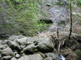 d3misc_0013.jpg