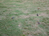 d3misc_0024.jpg