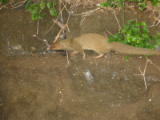 d3misc_0025.jpg