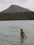 d3misc_0027.jpg
