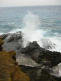 d3misc_0031.jpg