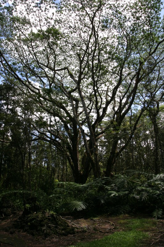 20040927-122302.jpg