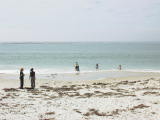 carmel0001.jpg