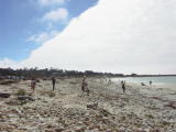 carmel0003.jpg
