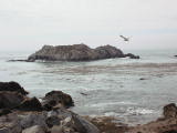 carmel0006.jpg