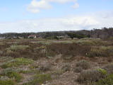 carmel0010.jpg