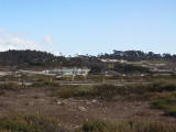 carmel0011.jpg
