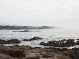 carmel0014.jpg