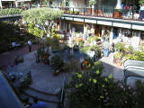 carmel0015.jpg