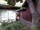 carmel0019.jpg