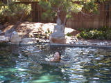 carmel0021.jpg
