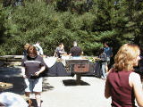 tilden0004.jpg