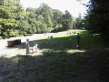 tilden0008.jpg