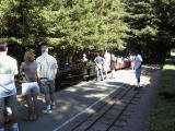 tilden0020.jpg