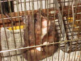 20000929-024801.jpg