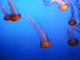 20010304-153436.jpg