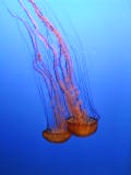 20010304-153511.jpg
