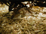 20010304-154225.jpg