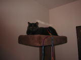 20020302-215421.jpg