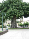 d1misc_0003.jpg