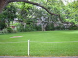 d1misc_0006.jpg
