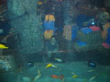 d1misc_0009.jpg
