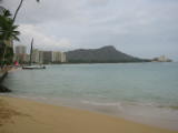 d1misc_0013.jpg