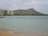 d1misc_0020.jpg