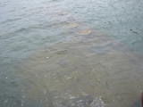 ph_0060.jpg