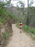 d2misc_0002.jpg