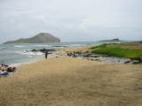 d2misc_0014.jpg
