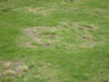 d2misc_0019.jpg