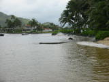 d2misc_0025.jpg