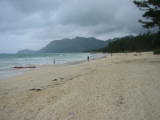 d2misc_0028.jpg