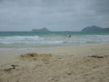 d2misc_0032.jpg
