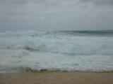 d2misc_0045.jpg