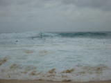 d2misc_0046.jpg