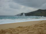 d2misc_0048.jpg