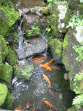 d4misc_0007.jpg