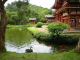 d4misc_0010.jpg