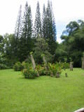 d4misc_0012.jpg