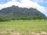 d4misc_0017.jpg